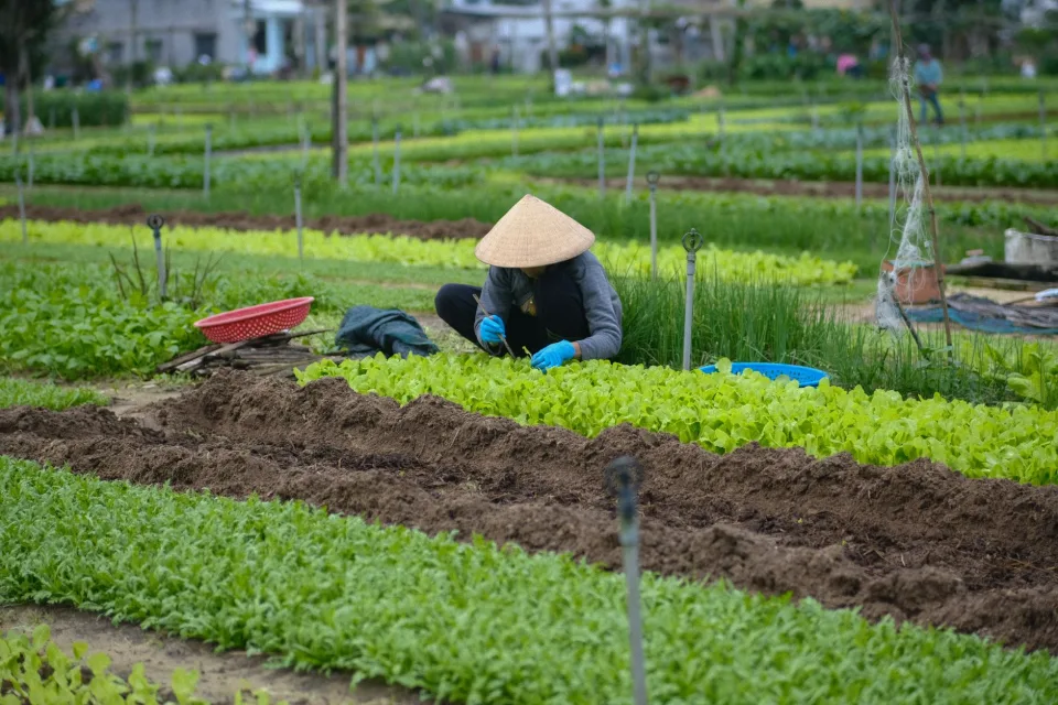 Dụng cụ làm đất